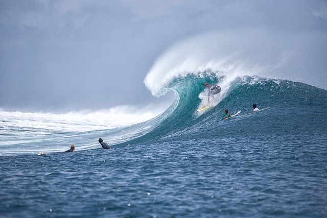 compétition surf